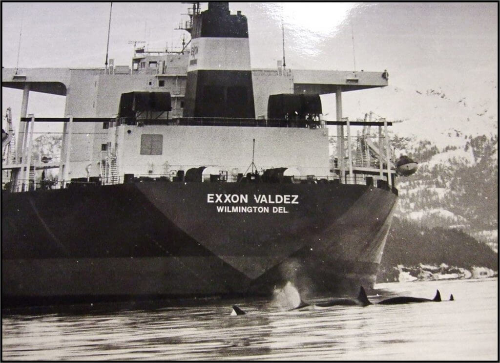 AT1 orcas and Exxon Valdez