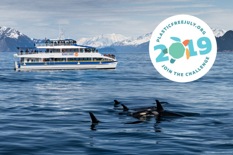 2019 Plastic Free July badge and orcas