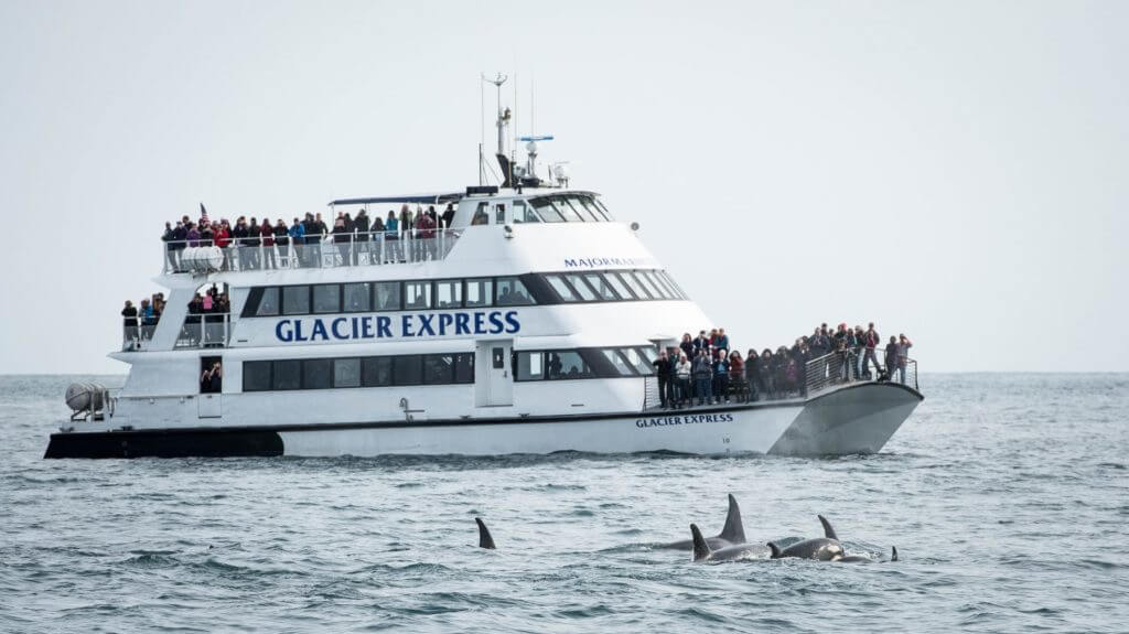 Glacier express with orcas