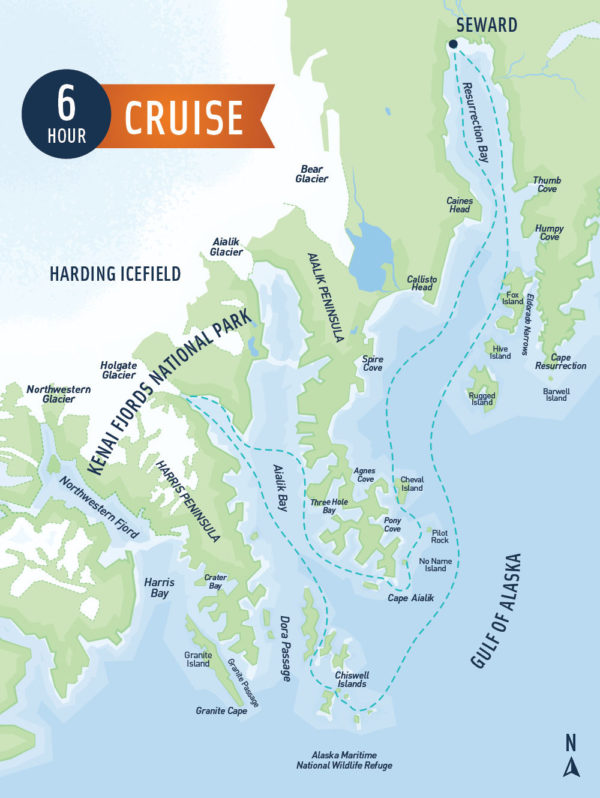 6 hour kenai fjords cruise