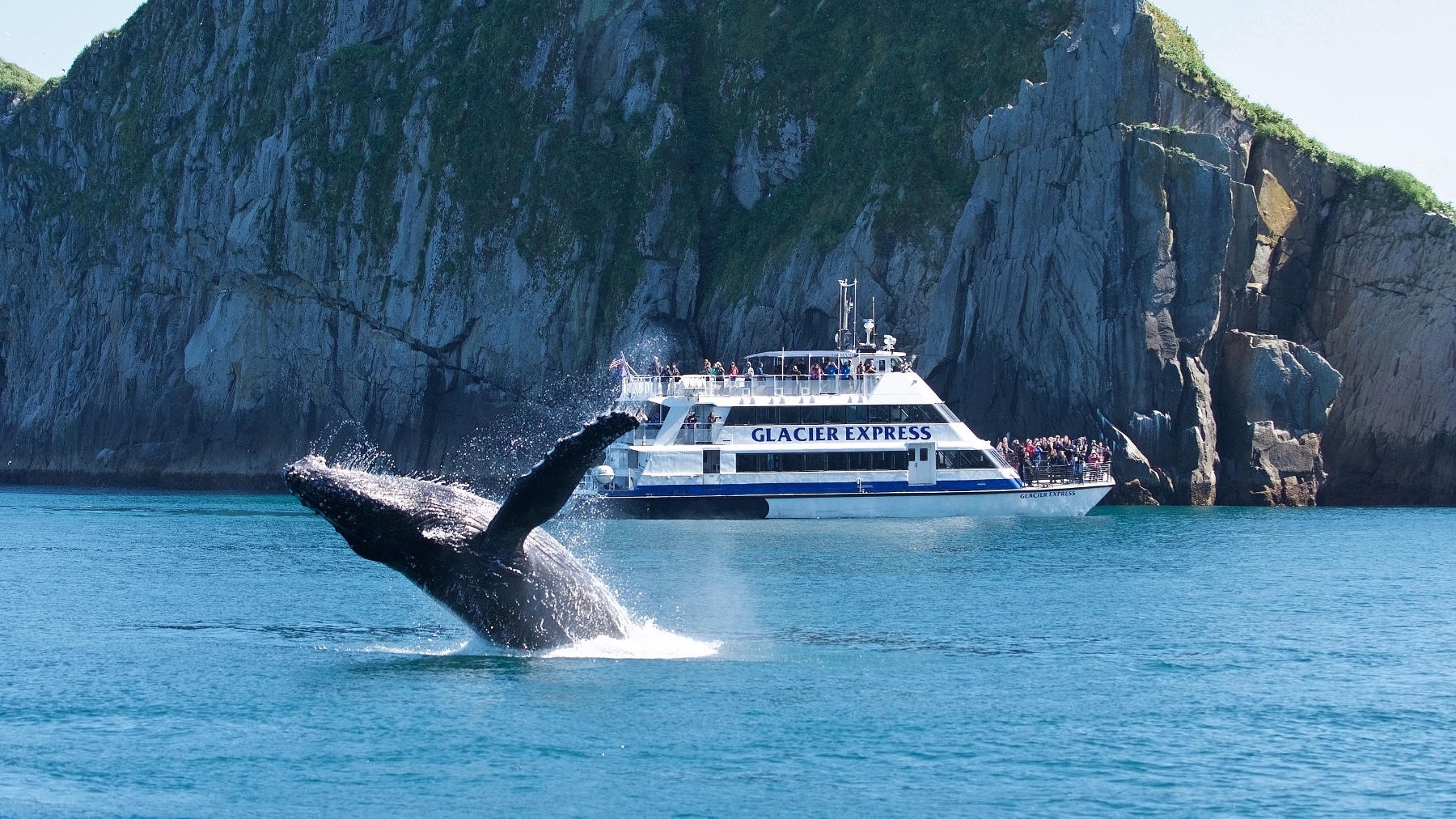 Glacier Express with breaching humpback