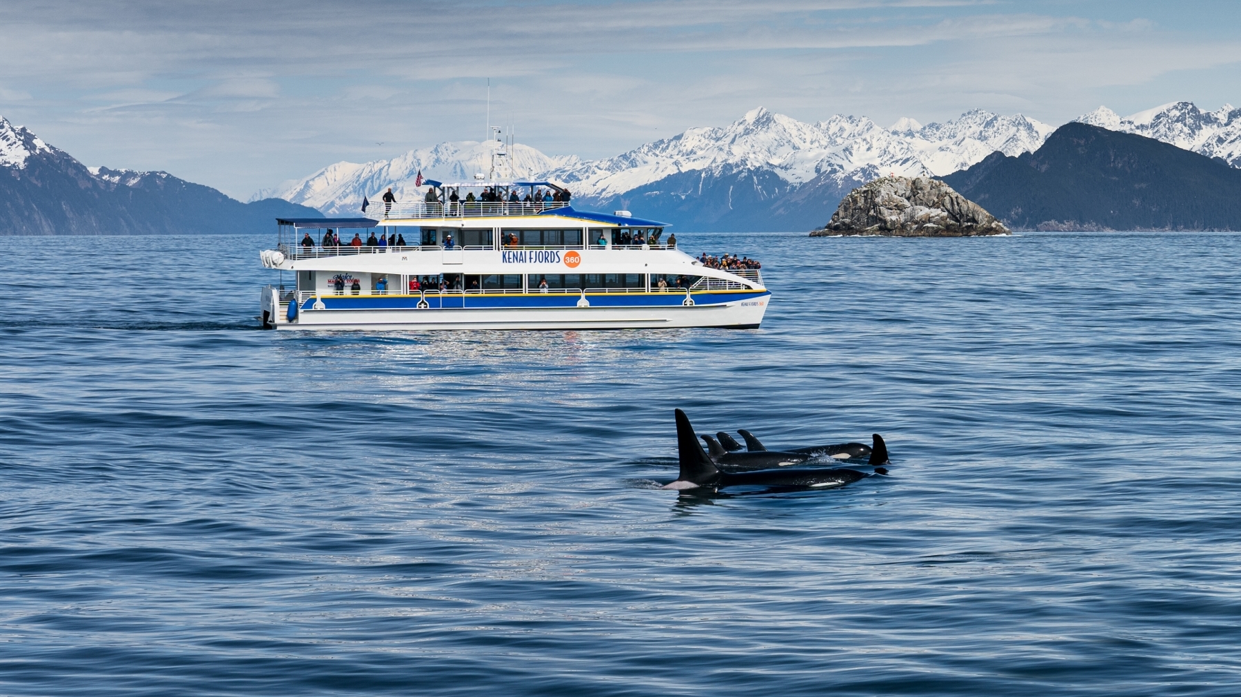 Kenai Fjords 360 and Orcas
